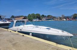 COPPOLA CONVERTIBLE 390 SS