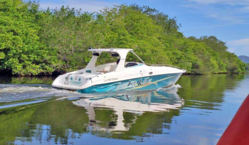 
								COPPOLA CONVERTIBLE 390 SS full									