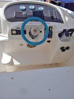 
										COPPOLA CONVERTIBLE 390 SS full									