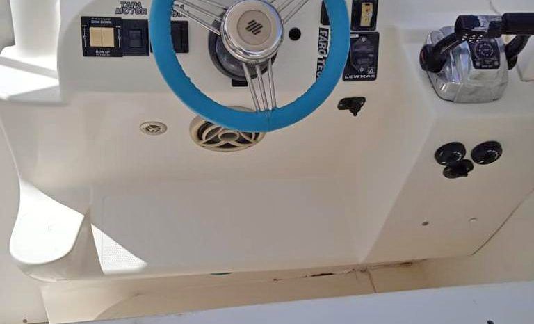 
								COPPOLA CONVERTIBLE 390 SS full									