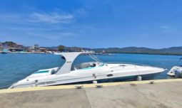 COPPOLA CONVERTIBLE 390 SS