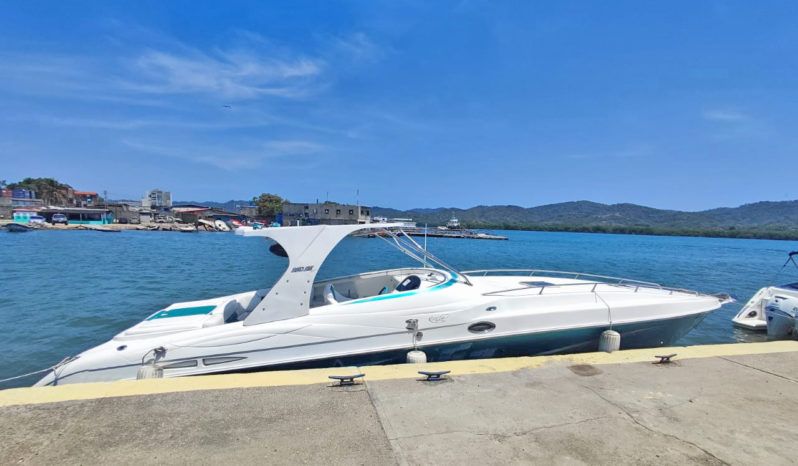 
								COPPOLA CONVERTIBLE 390 SS full									