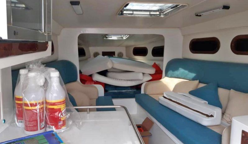 
								COPPOLA CONVERTIBLE 390 SS full									