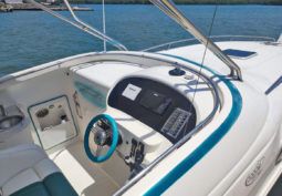 
										COPPOLA CONVERTIBLE 390 SS full									