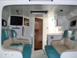 
										COPPOLA CONVERTIBLE 390 SS full									