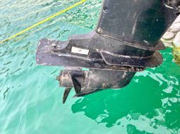 
										DINGHY AB DL 15 full									