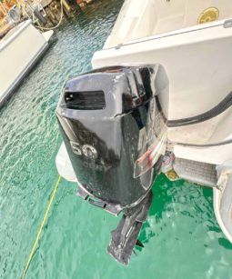 
										DINGHY AB DL 15 full									