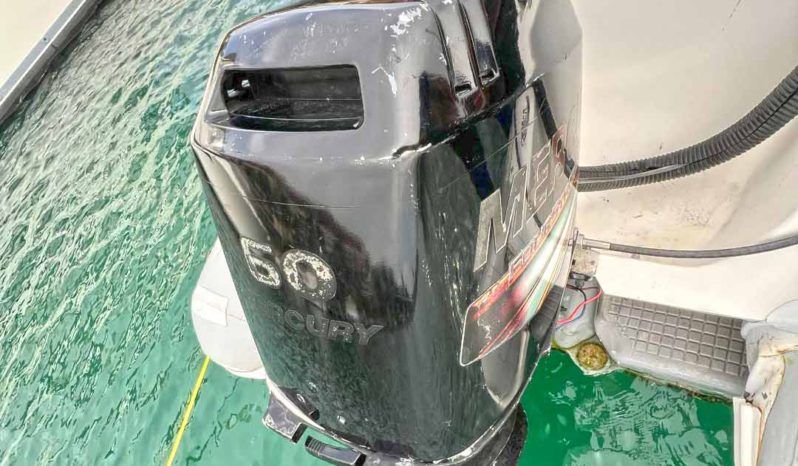 
								DINGHY AB DL 15 full									
