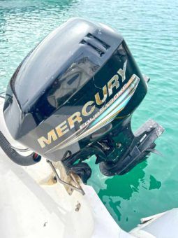 
										DINGHY AB DL 15 full									