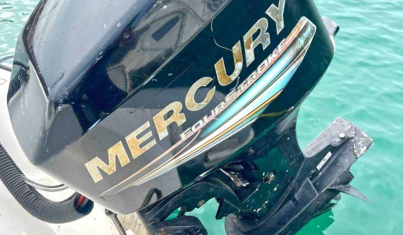 
								DINGHY AB DL 15 full									