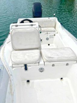 
										DINGHY AB DL 15 full									