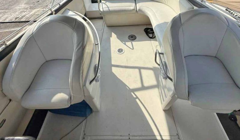 
								INTERMARINE AVANTI 35 full									