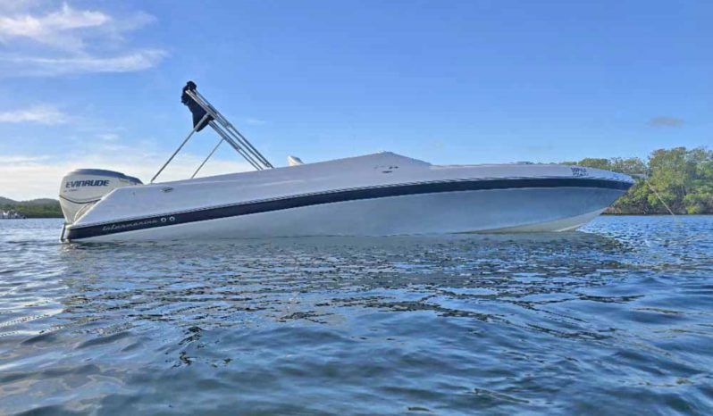 
								INTERMARINE BABY AVANTI 25 full									