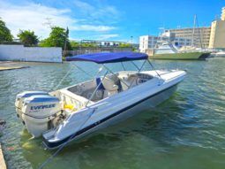 
										INTERMARINE BABY AVANTI 25 full									