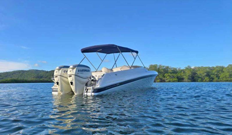 
								INTERMARINE BABY AVANTI 25 full									