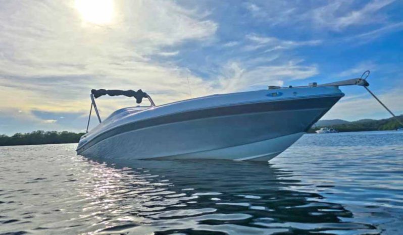 
								INTERMARINE BABY AVANTI 25 full									