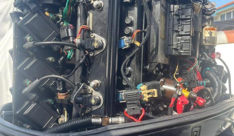 
								PAREJA MERCURY OPTIMAX 150HP full									