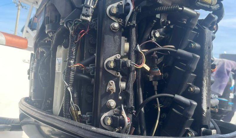 
								PAREJA MERCURY OPTIMAX 150HP full									