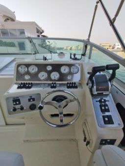 
										REGAL COMMODORE 33 full									