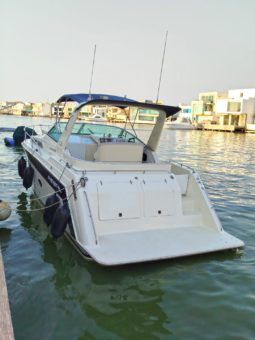 
										REGAL COMMODORE 33 full									