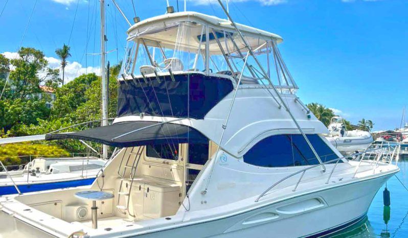 
								RIVIERA FLYBRIDGE 40 full									