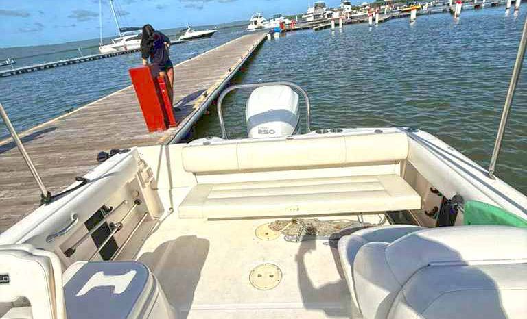 
								ROBALO R227 DC 22.1 full									