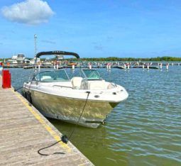 
										ROBALO R227 DC 22.1 full									