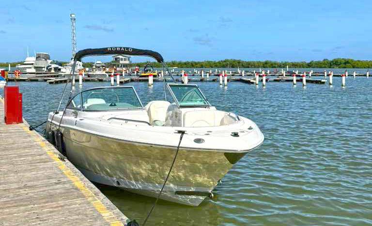 
								ROBALO R227 DC 22.1 full									