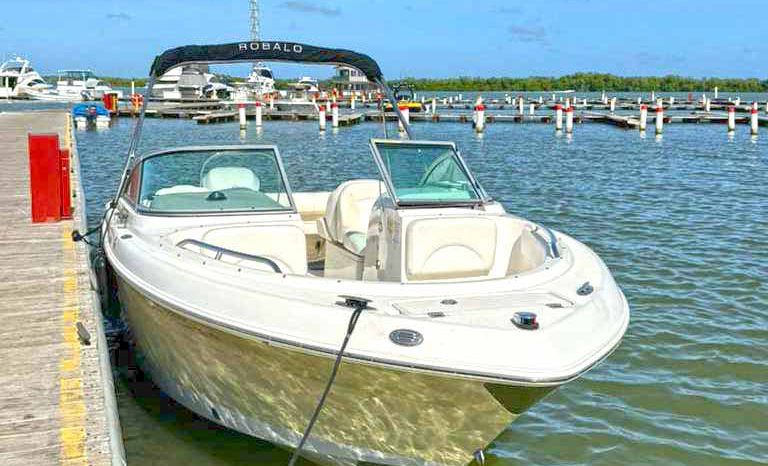 
								ROBALO R227 DC 22.1 full									