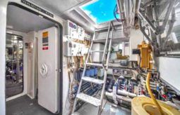 
										SAN LORENZO 100 full									