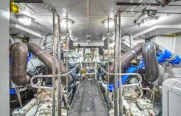 
										SAN LORENZO 100 full									