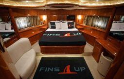 
										SUNSEEKER MANHATTAN MOTOR 82 full									