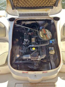 
										SEA RAY SPORT 180 18 full									