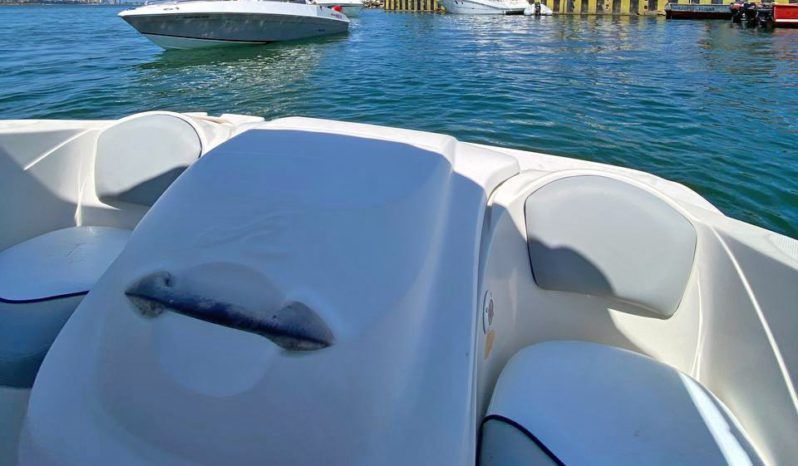 
								SEA RAY SPORT 180 18 full									