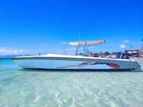 COMMANDER CUDDY 32.5