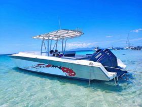 COMMANDER CUDDY 32.5