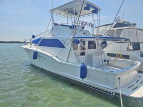 HATTERAS 42
