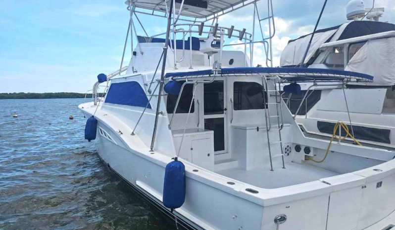 
								HATTERAS 42 full									