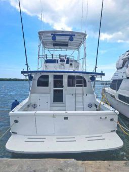 
										HATTERAS 42 full									