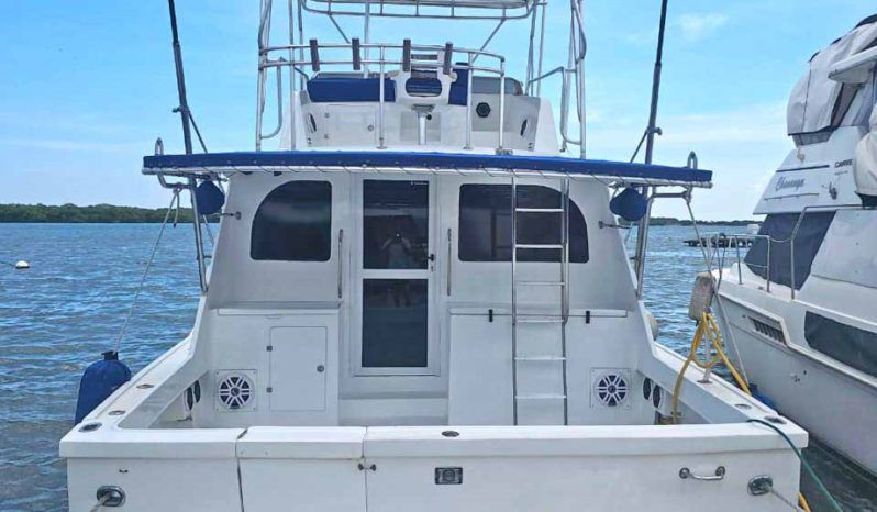 
								HATTERAS 42 full									