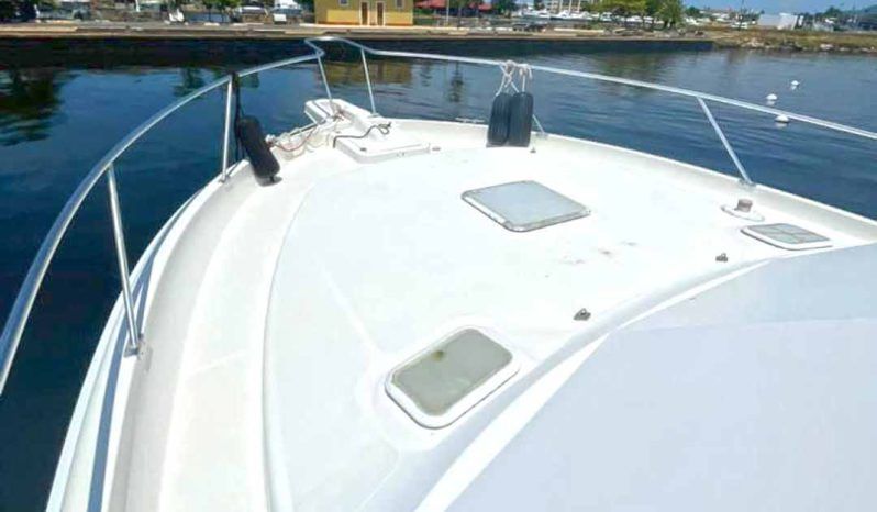 
								LUHRS 35 full									
