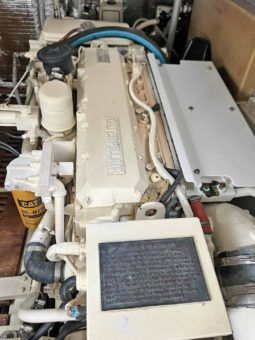 
										LUHRS EXPRESS 40 full									