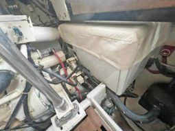 
										LUHRS EXPRESS 40 full									