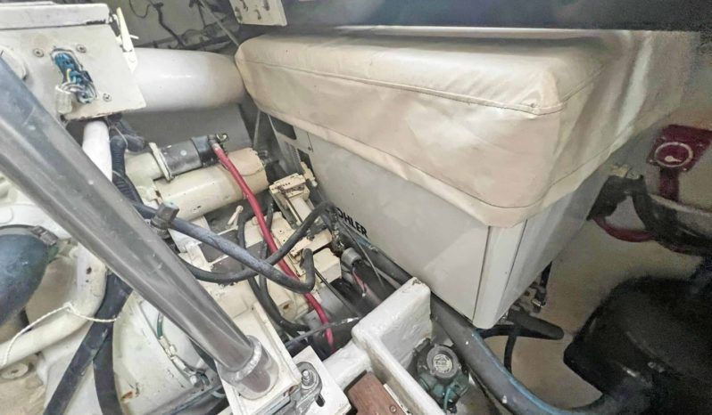 
								LUHRS EXPRESS 40 full									