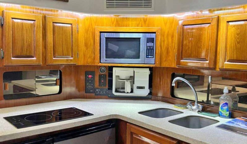 
								LUHRS EXPRESS 40 full									