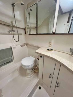 
										LUHRS EXPRESS 40 full									