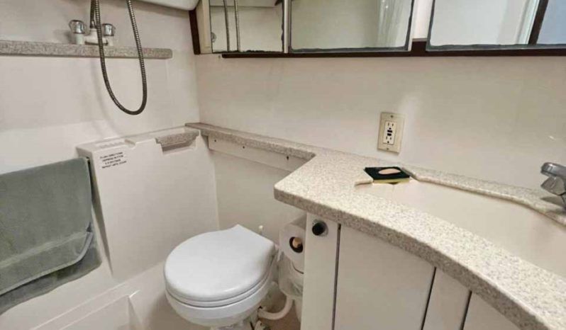 
								LUHRS EXPRESS 40 full									