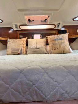 
										LUHRS EXPRESS 40 full									