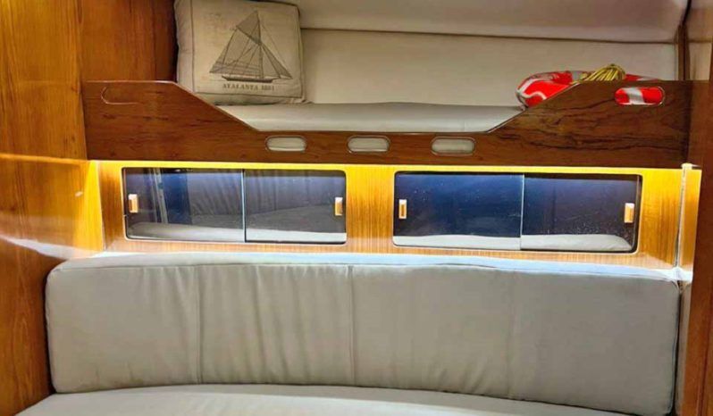 
								LUHRS EXPRESS 40 full									