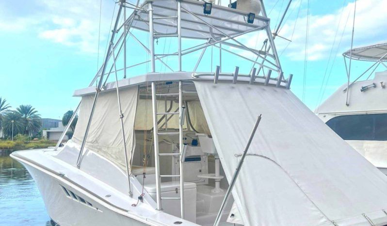 
								LUHRS EXPRESS 40 full									
